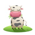 Cartoon cow chewing grass in the meadow. Funny stylish spotted cow. Royalty Free Stock Photo